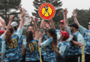 Beginner Softball Sessions (Yellow BG) (3)