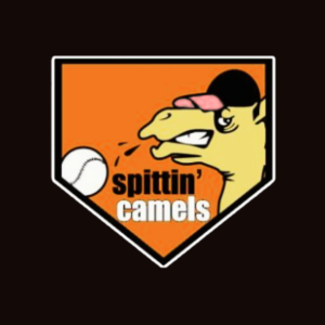 manchester softball tournament